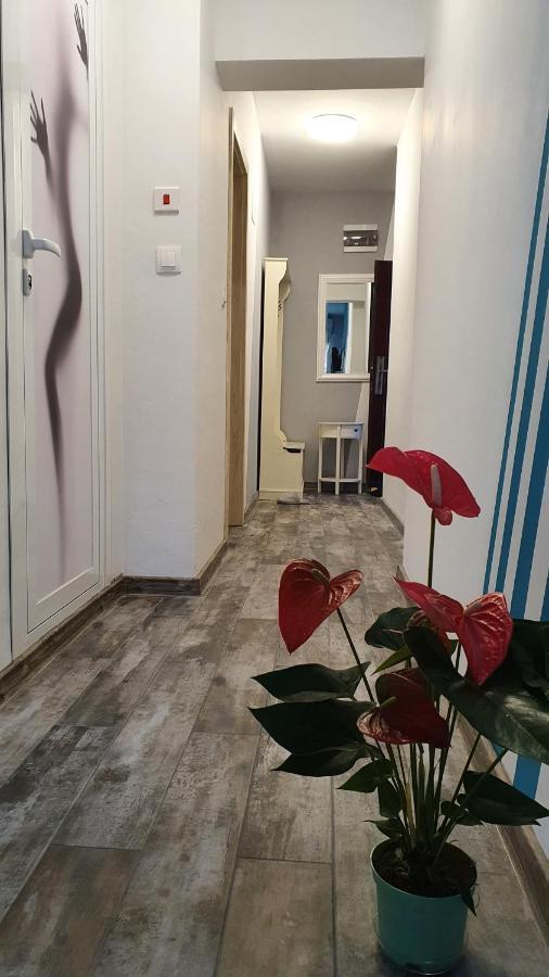 Apartament Sanny Appartement Plovdiv Buitenkant foto